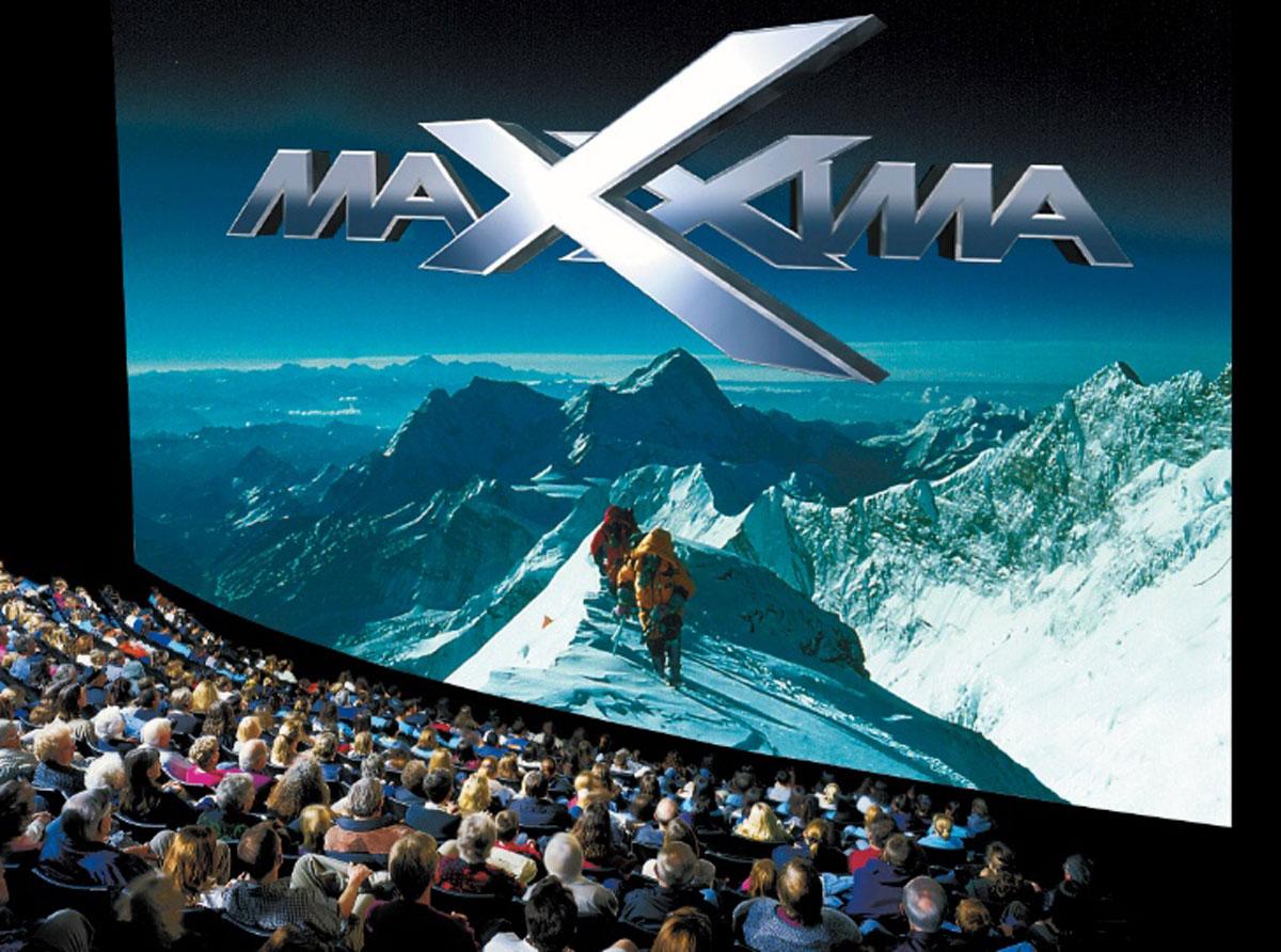 Maxxima 2003